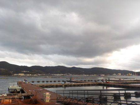 淡路じゃのひれフィッシングパーク 釣果