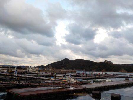 淡路じゃのひれフィッシングパーク 釣果