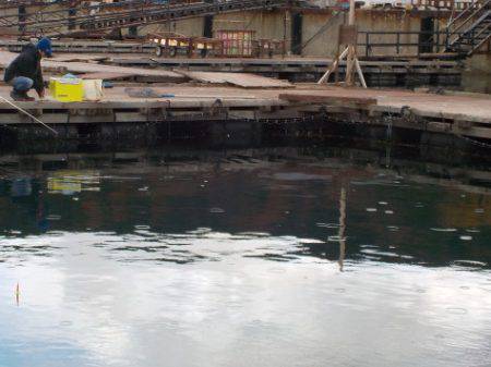 淡路じゃのひれフィッシングパーク 釣果