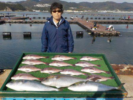 淡路じゃのひれフィッシングパーク 釣果
