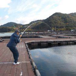 淡路じゃのひれフィッシングパーク 釣果