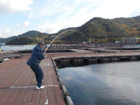 淡路じゃのひれフィッシングパーク 釣果