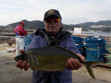 淡路じゃのひれフィッシングパーク 釣果
