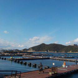 淡路じゃのひれフィッシングパーク 釣果