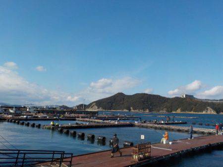 淡路じゃのひれフィッシングパーク 釣果