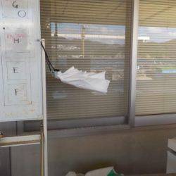 淡路じゃのひれフィッシングパーク 釣果