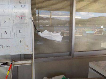 淡路じゃのひれフィッシングパーク 釣果