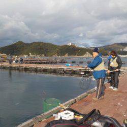 淡路じゃのひれフィッシングパーク 釣果