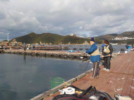 淡路じゃのひれフィッシングパーク 釣果