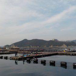 淡路じゃのひれフィッシングパーク 釣果