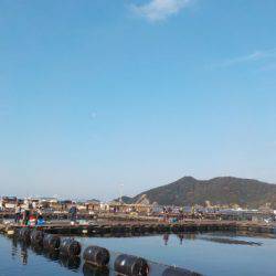 淡路じゃのひれフィッシングパーク 釣果