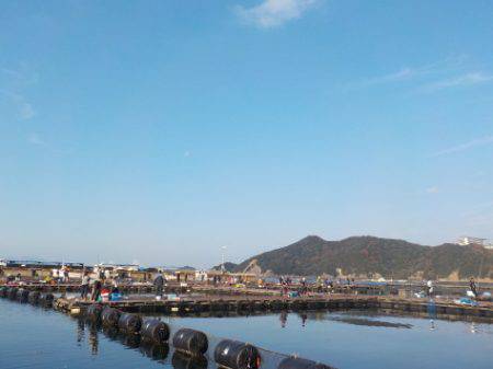 淡路じゃのひれフィッシングパーク 釣果