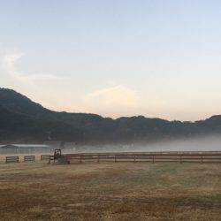 淡路じゃのひれフィッシングパーク 釣果