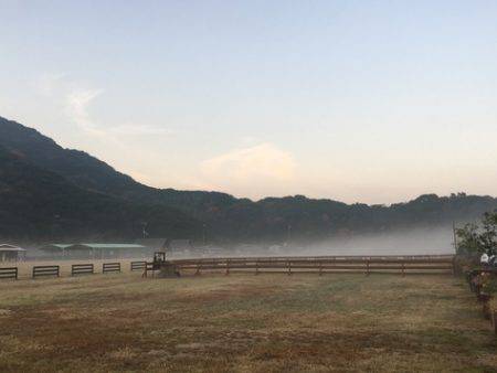 淡路じゃのひれフィッシングパーク 釣果