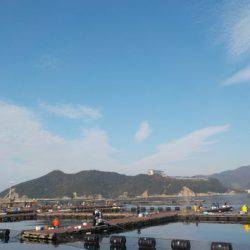 淡路じゃのひれフィッシングパーク 釣果