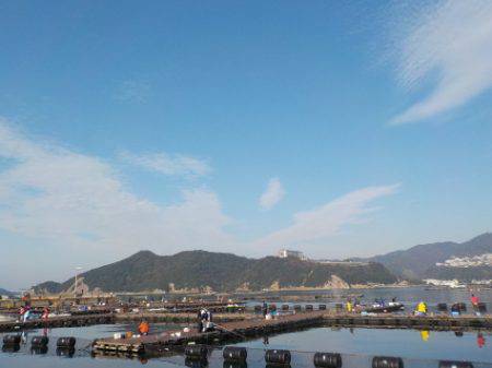 淡路じゃのひれフィッシングパーク 釣果