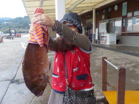 淡路じゃのひれフィッシングパーク 釣果