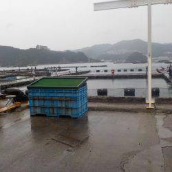 淡路じゃのひれフィッシングパーク 釣果