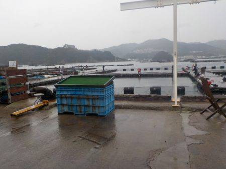 淡路じゃのひれフィッシングパーク 釣果