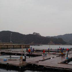 淡路じゃのひれフィッシングパーク 釣果