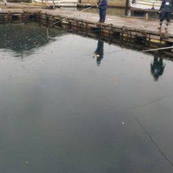 淡路じゃのひれフィッシングパーク 釣果