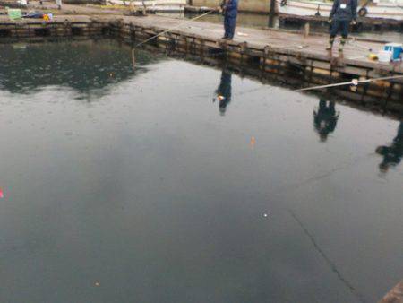 淡路じゃのひれフィッシングパーク 釣果