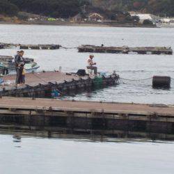 淡路じゃのひれフィッシングパーク 釣果