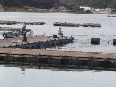 淡路じゃのひれフィッシングパーク 釣果