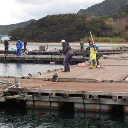 淡路じゃのひれフィッシングパーク 釣果