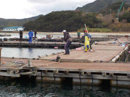 淡路じゃのひれフィッシングパーク 釣果