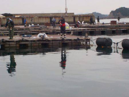 淡路じゃのひれフィッシングパーク 釣果