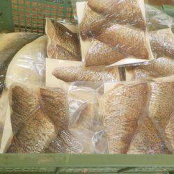 淡路じゃのひれフィッシングパーク 釣果