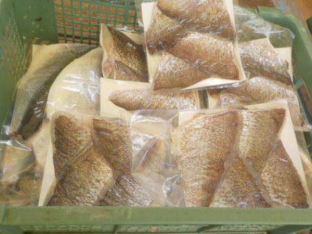 淡路じゃのひれフィッシングパーク 釣果