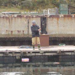 淡路じゃのひれフィッシングパーク 釣果