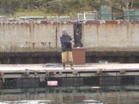 淡路じゃのひれフィッシングパーク 釣果