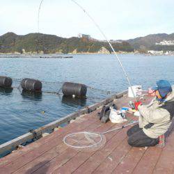 淡路じゃのひれフィッシングパーク 釣果