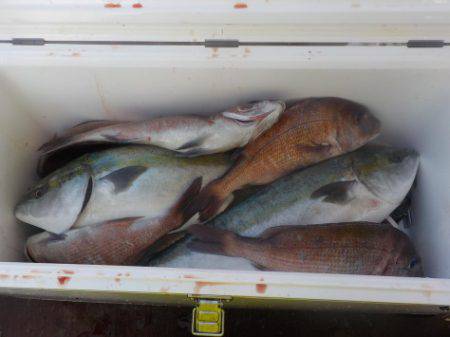 淡路じゃのひれフィッシングパーク 釣果