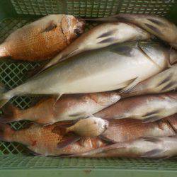 淡路じゃのひれフィッシングパーク 釣果