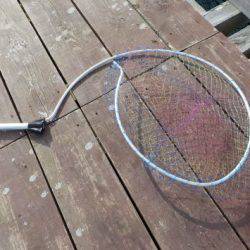 淡路じゃのひれフィッシングパーク 釣果