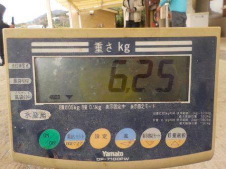 淡路じゃのひれフィッシングパーク 釣果