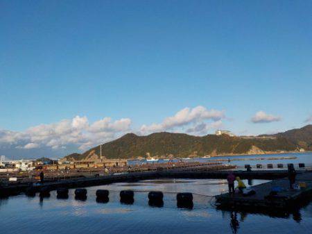 淡路じゃのひれフィッシングパーク 釣果