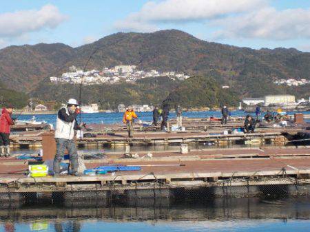 淡路じゃのひれフィッシングパーク 釣果