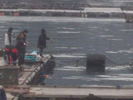 淡路じゃのひれフィッシングパーク 釣果