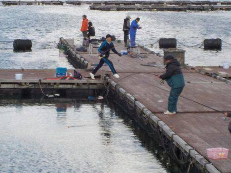 淡路じゃのひれフィッシングパーク 釣果