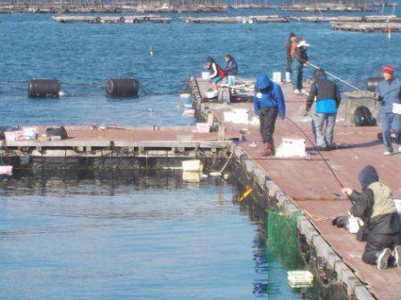 淡路じゃのひれフィッシングパーク 釣果
