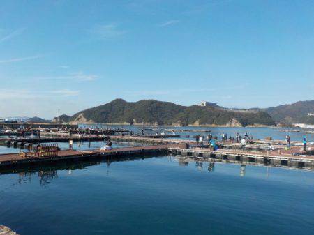 淡路じゃのひれフィッシングパーク 釣果