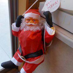 淡路じゃのひれフィッシングパーク 釣果