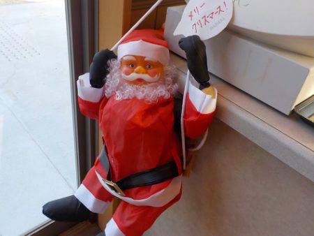 淡路じゃのひれフィッシングパーク 釣果