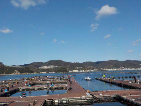 淡路じゃのひれフィッシングパーク 釣果