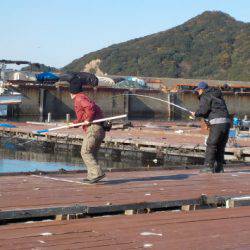 淡路じゃのひれフィッシングパーク 釣果
